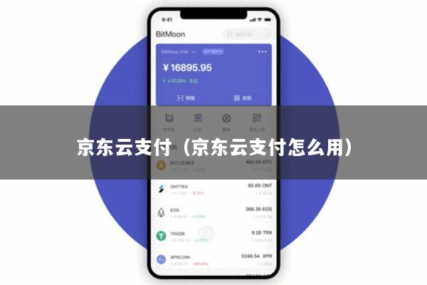 京东云支付(京东云支付怎么用)